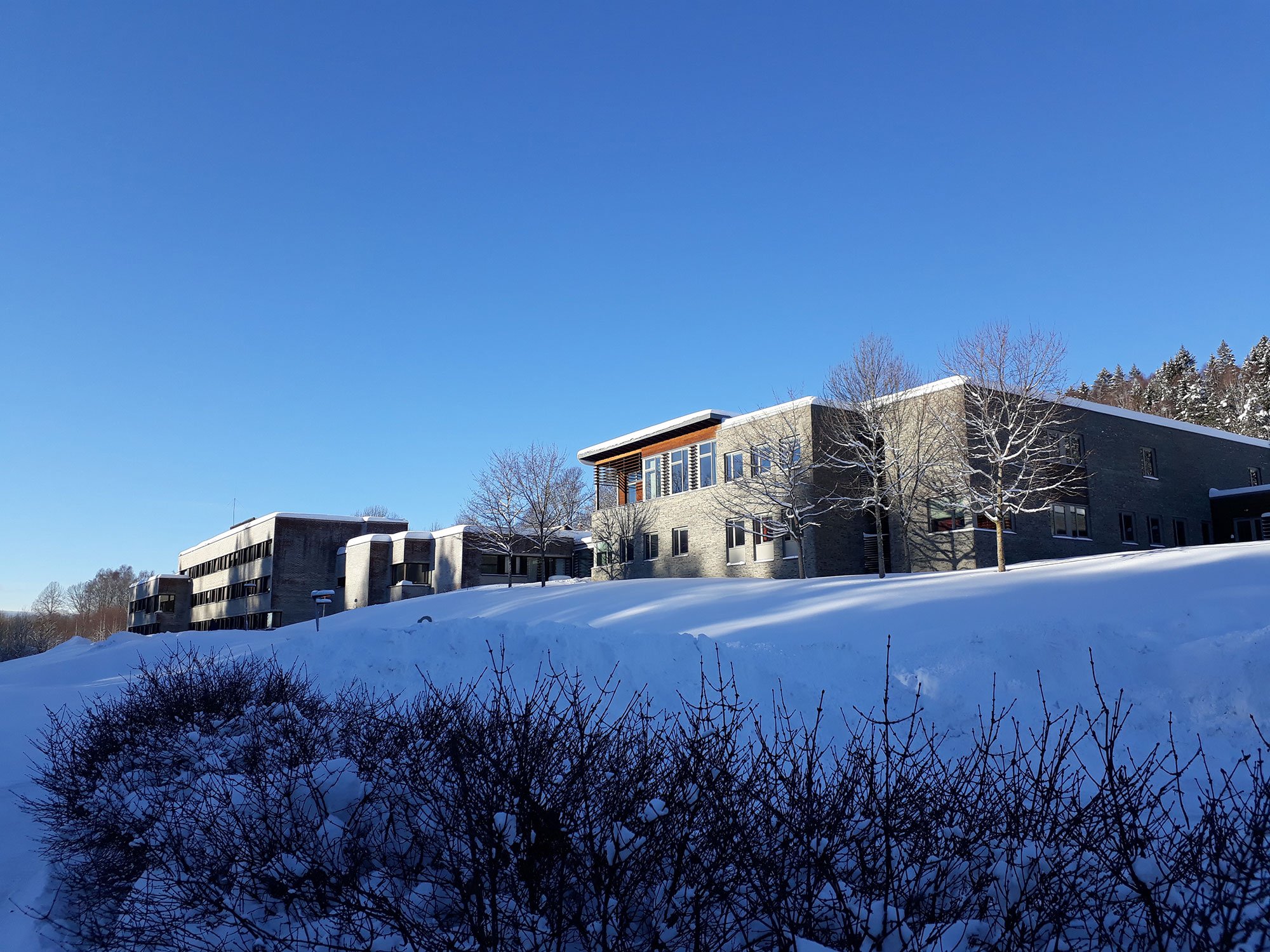 Spesialsykehuset For Epilepsi (SSE) - Oslo Universitetssykehus HF