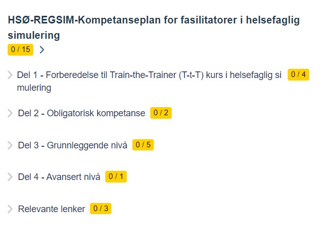 Kompetanseplan For Fasilitatorer I Helsefaglig Simulering! - Oslo ...