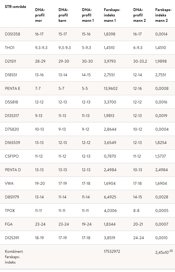 En eksempel-tabell for farskap med syv kolonner med resultater. Det er STR-område, DNA-profil mor, DNA-profil barn, DNA-profil mann 1, Farskapsindeks mann 1, DNA-profil mann 2 og Farskapsindeks mann 2.
