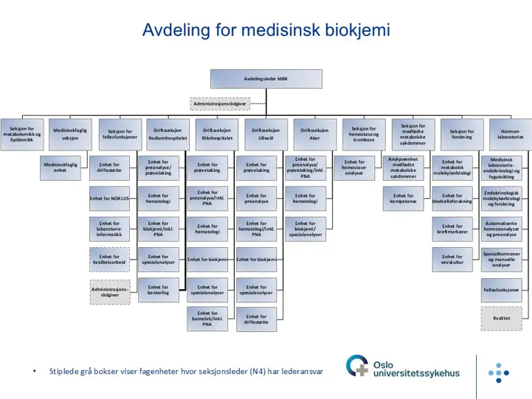 Grafisk brukergrensesnitt, applikasjon, Word