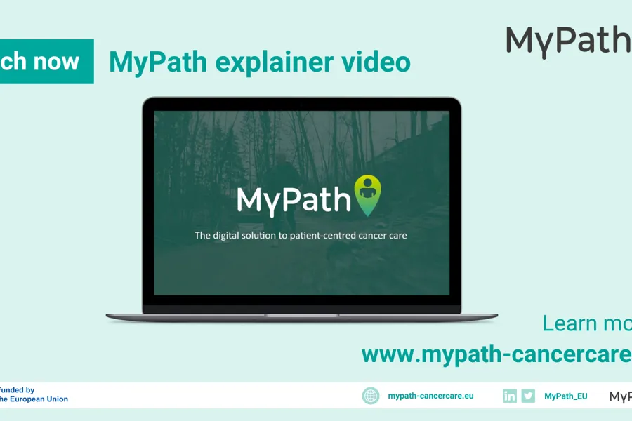 Grafisk brukergrensesnitt, applikasjon