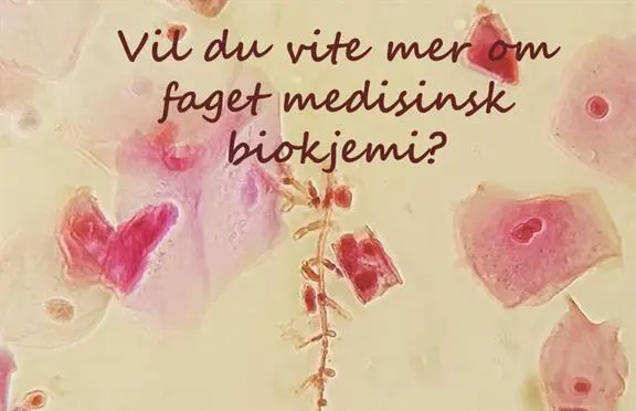 Vil du vite mer om faget medisinsk biokjemi?