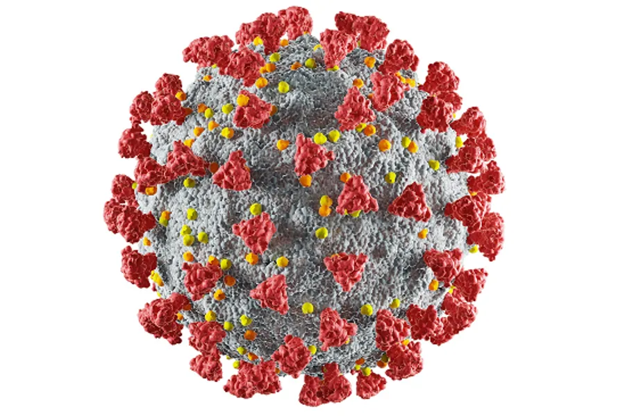 Illustrasjon av koronavirus