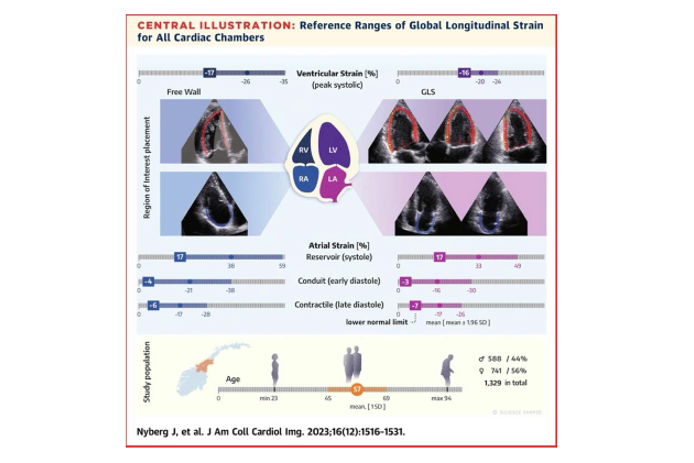 Graphical user interface, website