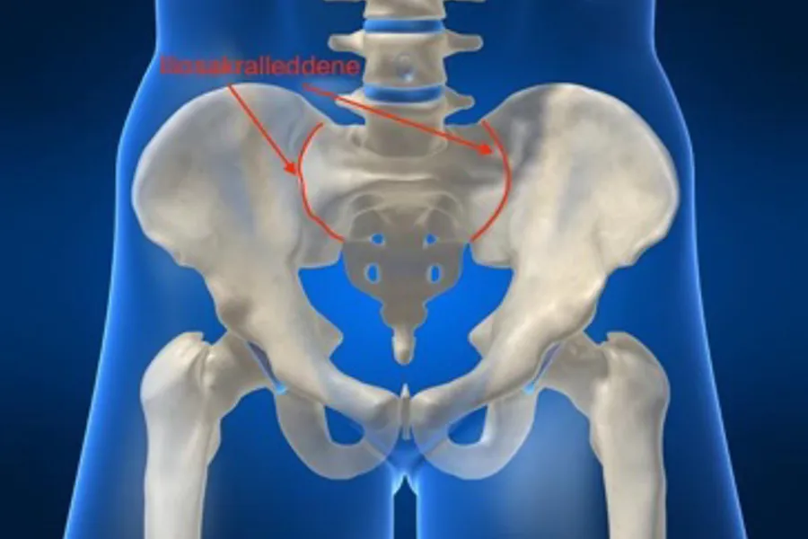 Bilde av bekkenleddene (iliosakralleddene)