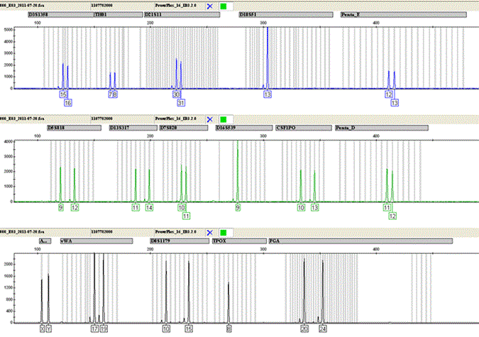 dna-analyse-fig1-faktaark.gif