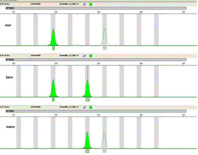 dna-analyse-figur-2-faktaar.gif