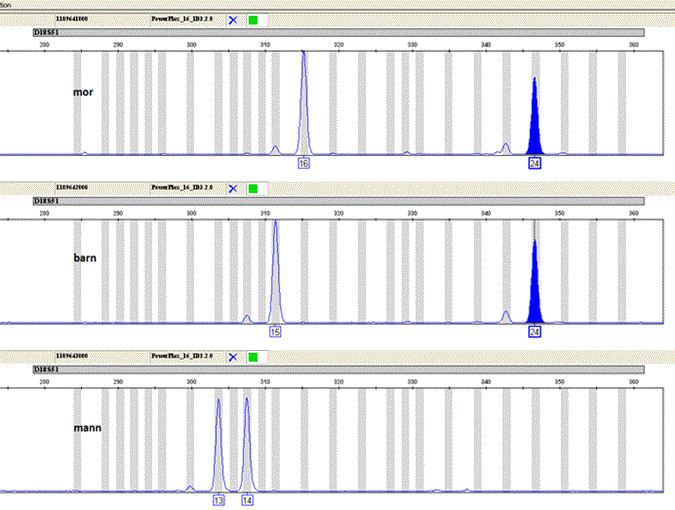 dna-analyse-figur-3-faktaar.gif