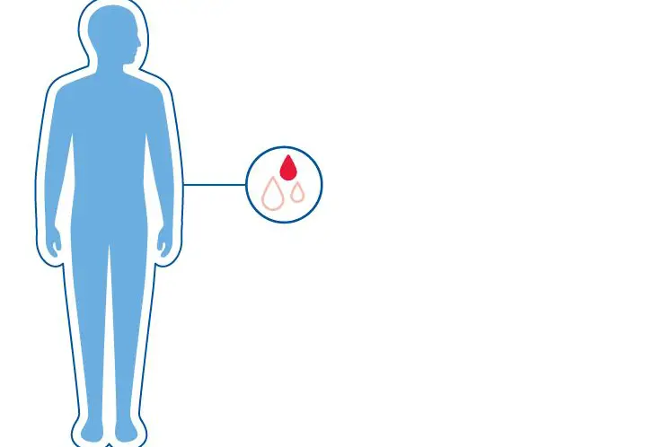 Illustrasjon av en blå menneskekropp med et uthevet symbol av en dråpe blod, som viser at faktor V mangel er en blødersykdom