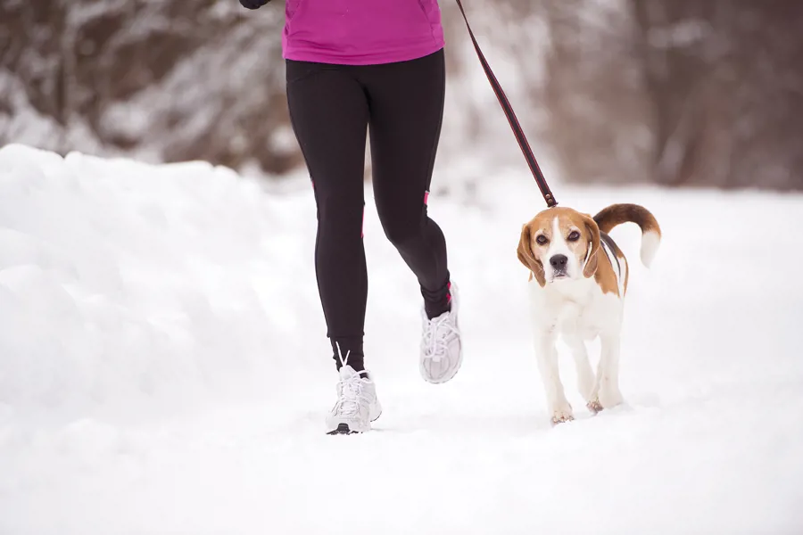 Ei dame går treningstur sammen med hund i bånd om vinteren i joggesko, rosa overdal og sort treningsbukse