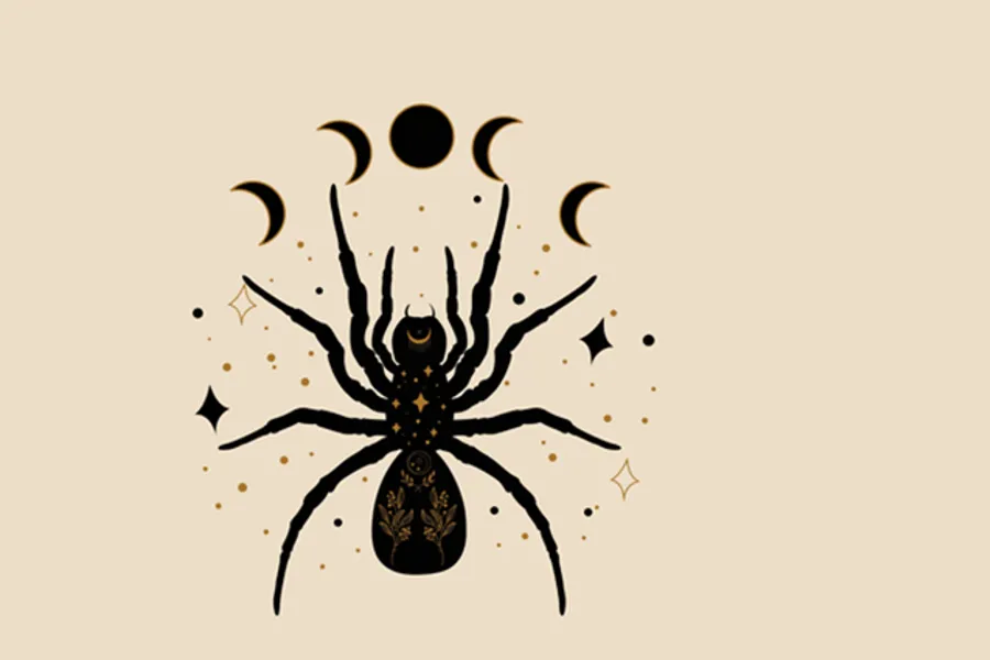 En svart edderkopp med hvit bakgrunn