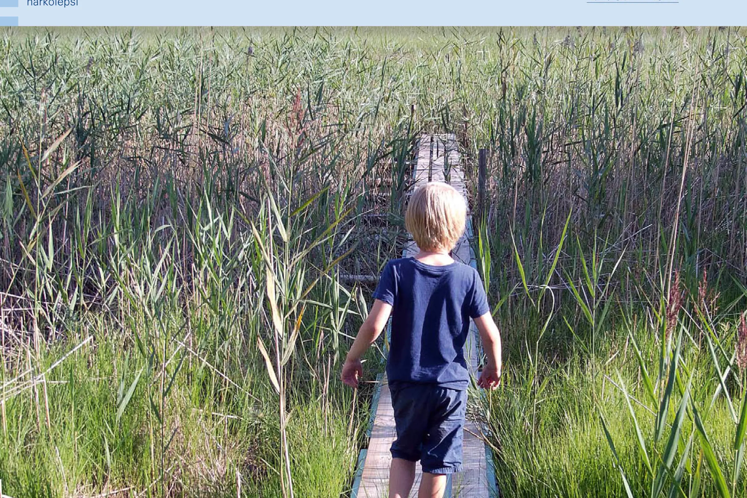 Forsiden til magasinet Innsikt. Det viser et barn som går på en bro  over et siv.