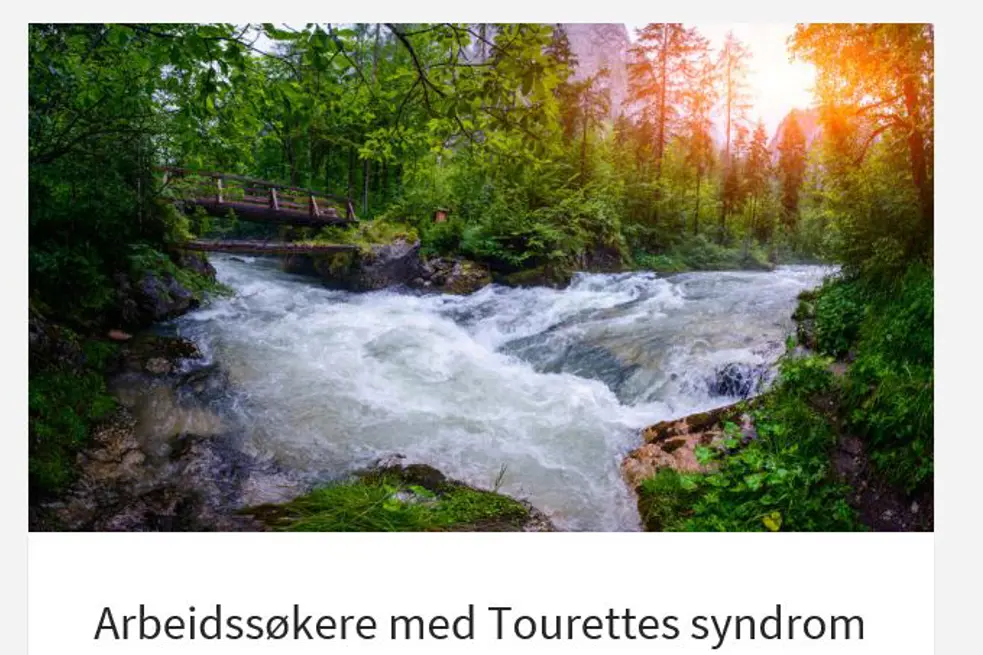 cover av heftet for Tourettes