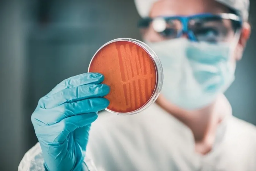 En person kledd i smittevernsutstyr holder opp en petriskål med bakterier.