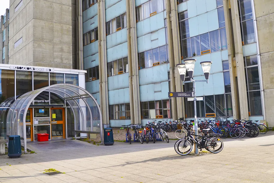 En gruppe sykler parkert utenfor en bygning