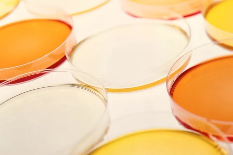 illustration photo of colorful  bakteria culture test