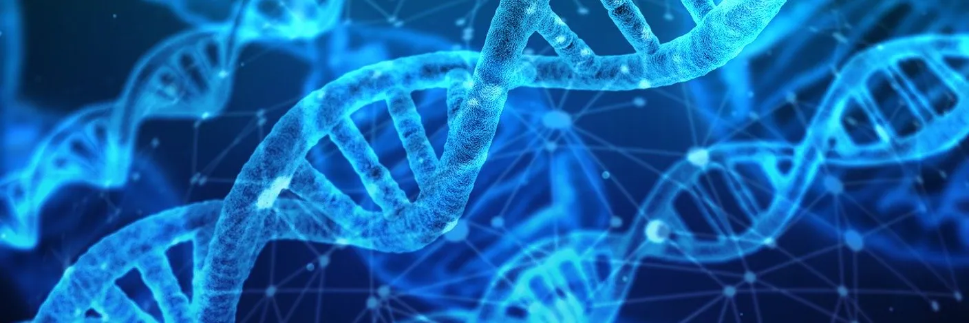 Legg inn en beskrivende tekst