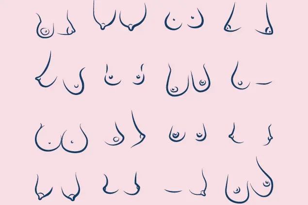 Plakat av bryster