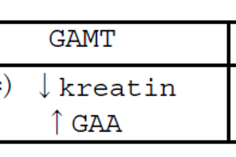 Kreatinmangelsyndrom tabell.PNG