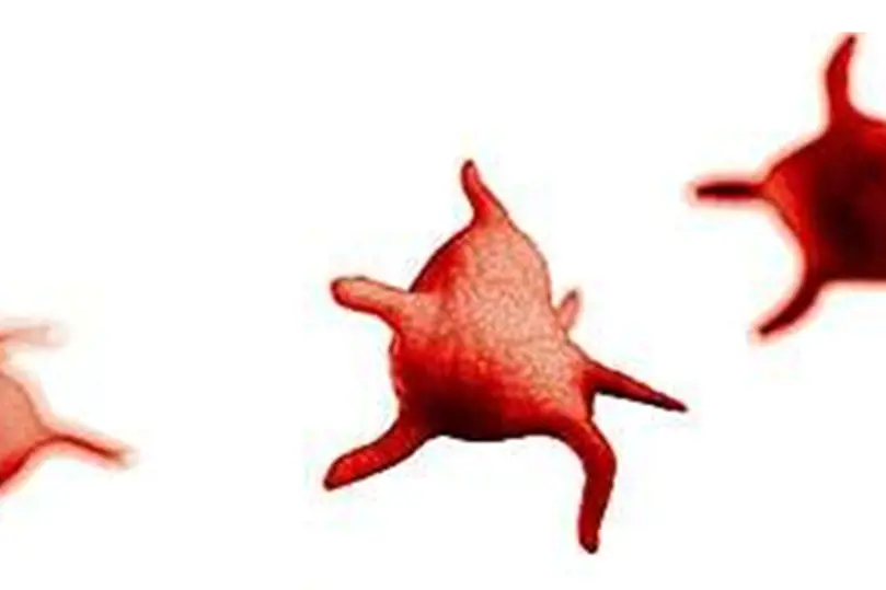 Illustrasjon av blodplater, røde flekker