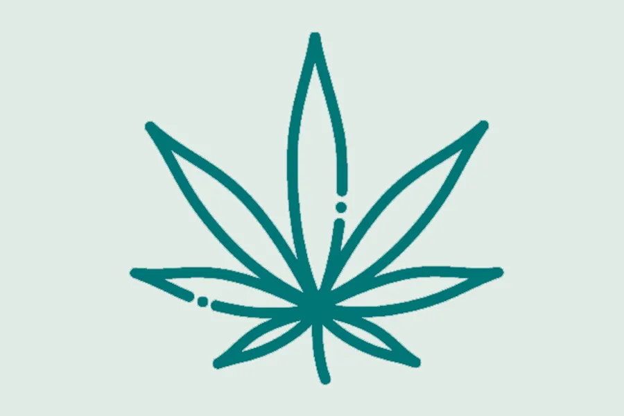 Illustrasjonsfoto av cannabisplante