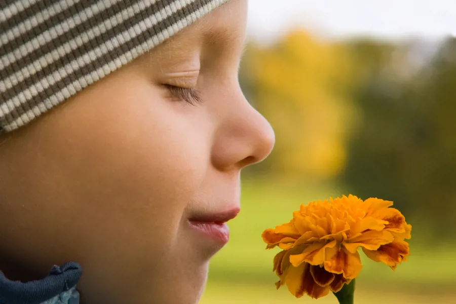 En gutt som lukter på en blomst.