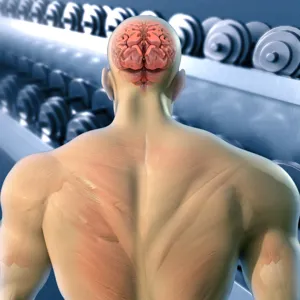 Ryggen og hjernen til en fysisk sterk person