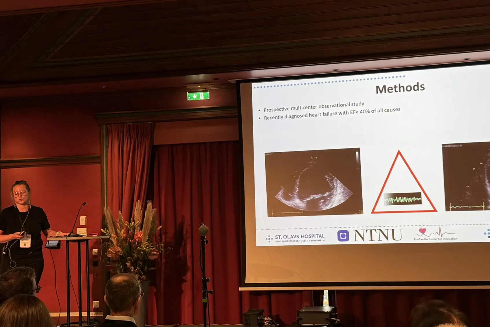 A person giving a presentation