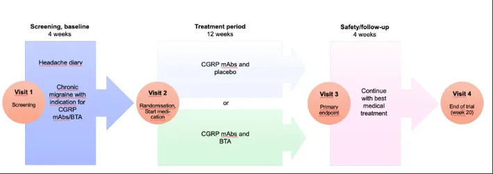 Første besøk for å bli inkludert i studien før det gjøres 4 ukers registrering via hodepinekalender slik det er krav om i slike studier. Deretter får man studiemedisin som varer i 12 uker. Når det er gjennomført, får man justert videre behandling ut fra behov. Og det er en 4 ukers periode der man fortsetter å registrere hodepine i 4 uker helt til slutt slik at man blir helt ferdig i studien etter 20 uker.