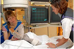 Sykehusmaskoten Rasmus tar angiografi