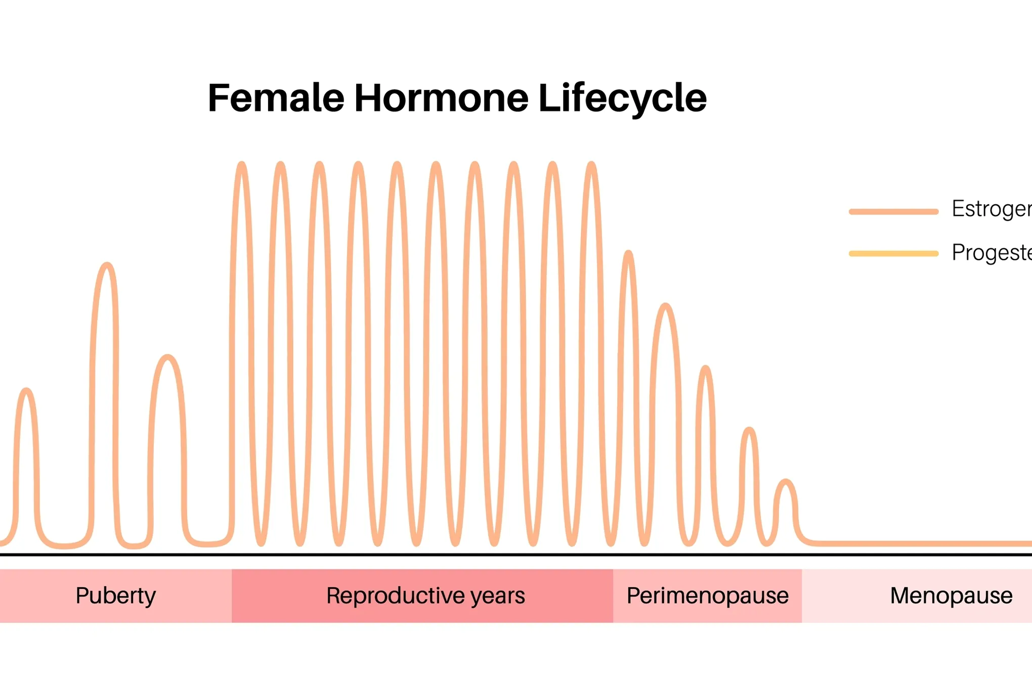 Østrogen som har noen få store svingninger under pubertet, og mange store under reproduktive år, og gradvis mindre frem mot overgangsalderen.