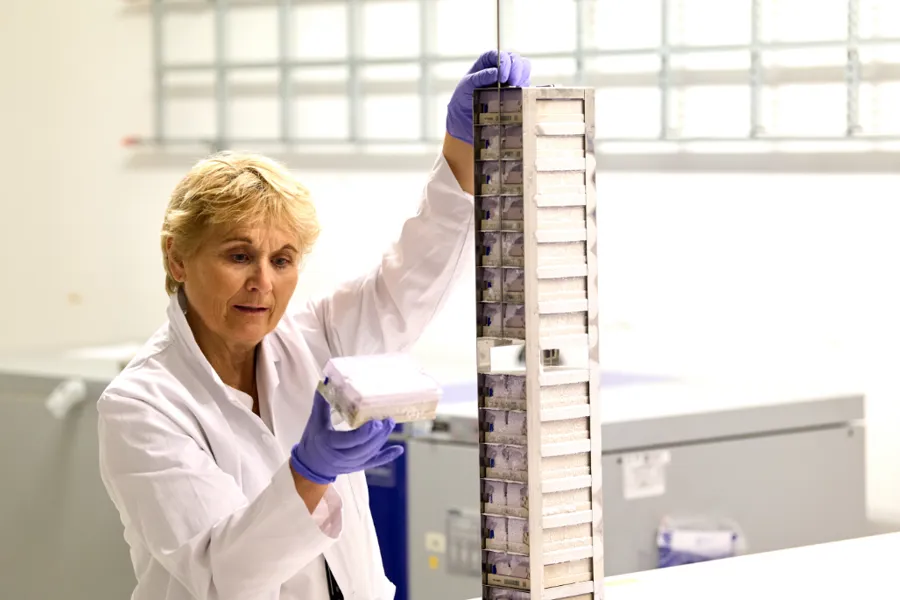 Ansatt som ser på biobank prøver