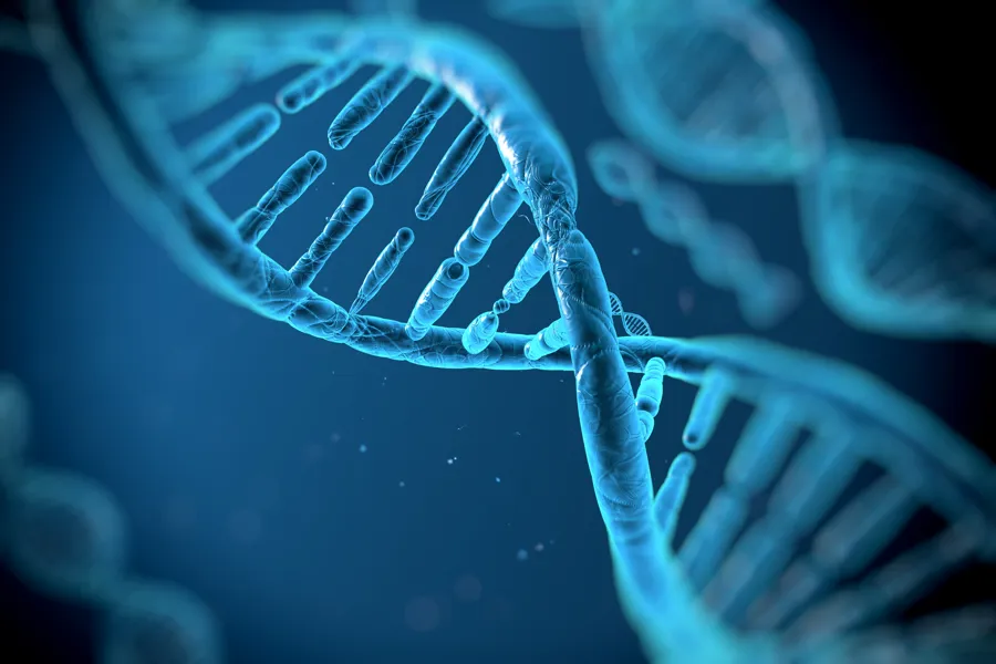 Illustrasjon av DNA