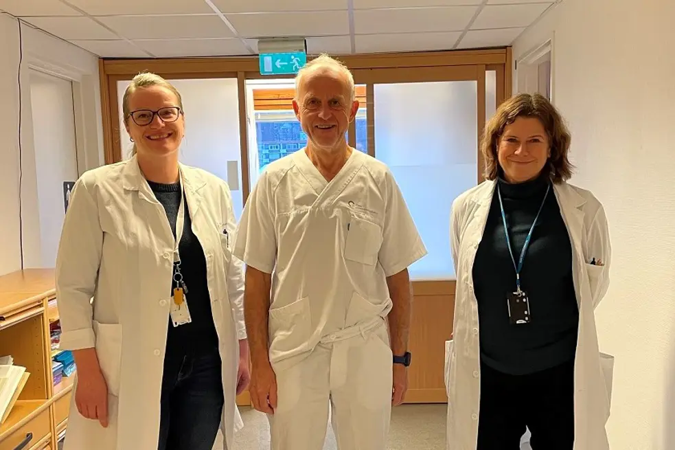 Bilde av forfattere