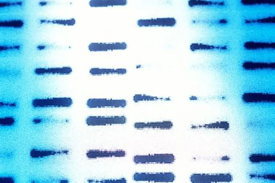 test results, illustration photo